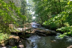 Parc Régional Montagne du Diable - Hautes-Laurentides - Été