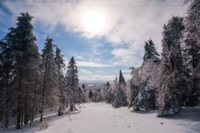 Parc Régional Montagne du Diable - Hautes-Laurentides - Hiver