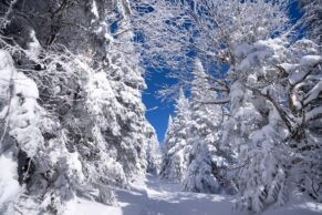 Parc Régional Montagne du Diable - Hautes-Laurentides - Hiver
