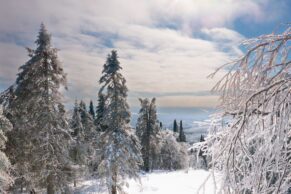 Parc Régional Montagne du Diable - Hautes-Laurentides - Hiver