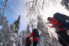 Parc Régional Montagne du Diable - Hautes-Laurentides - Hiver