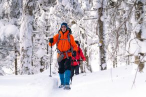 Parc Régional Montagne du Diable - Hautes-Laurentides - Hiver