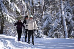 Parc Régional Montagne du Diable - Hautes-Laurentides - Hiver