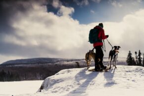 Parc Régional Montagne du Diable - Hautes-Laurentides - Hiver