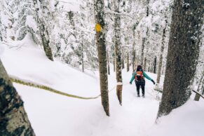 Parc Régional Montagne du Diable - Hautes-Laurentides - Hiver