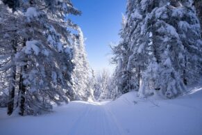 Parc Régional Montagne du Diable - Hautes-Laurentides - Hiver