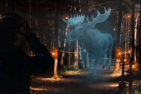 Espace NAPAGA (Anciennement Parc du Bourg de Pabos) - Gaspésie, Québec