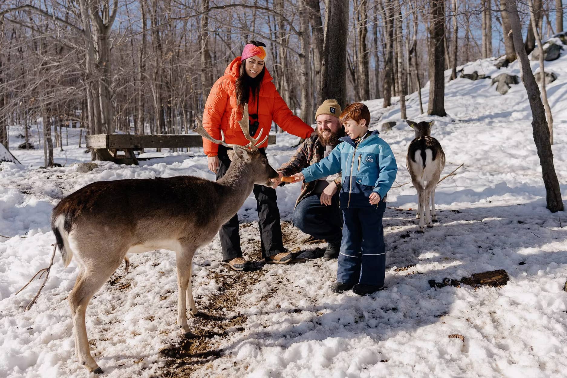 Parc Oméga - Photo Laure Poiret