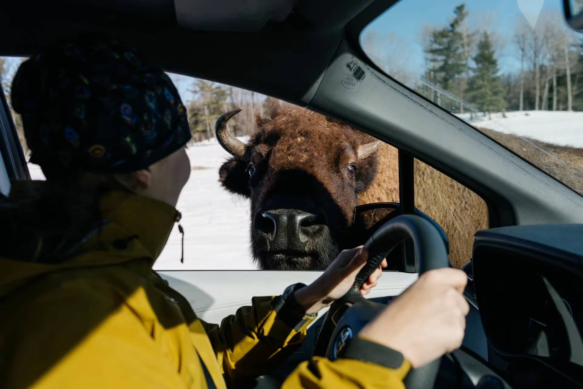 Parc Oméga - Photo Charlotte B Domingue