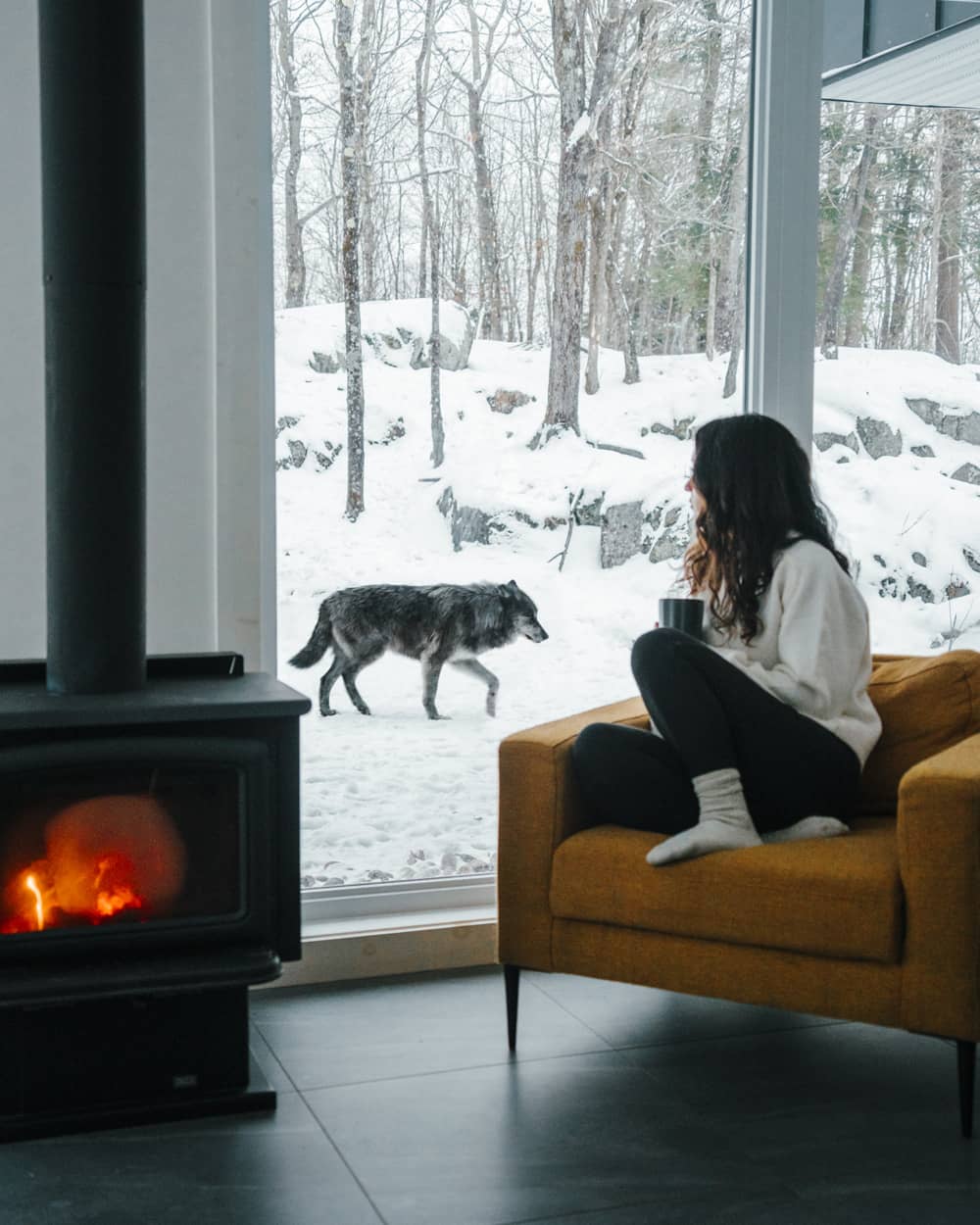 Dormir avec les Loups au Parc Oméga - Photo Parc Oméga