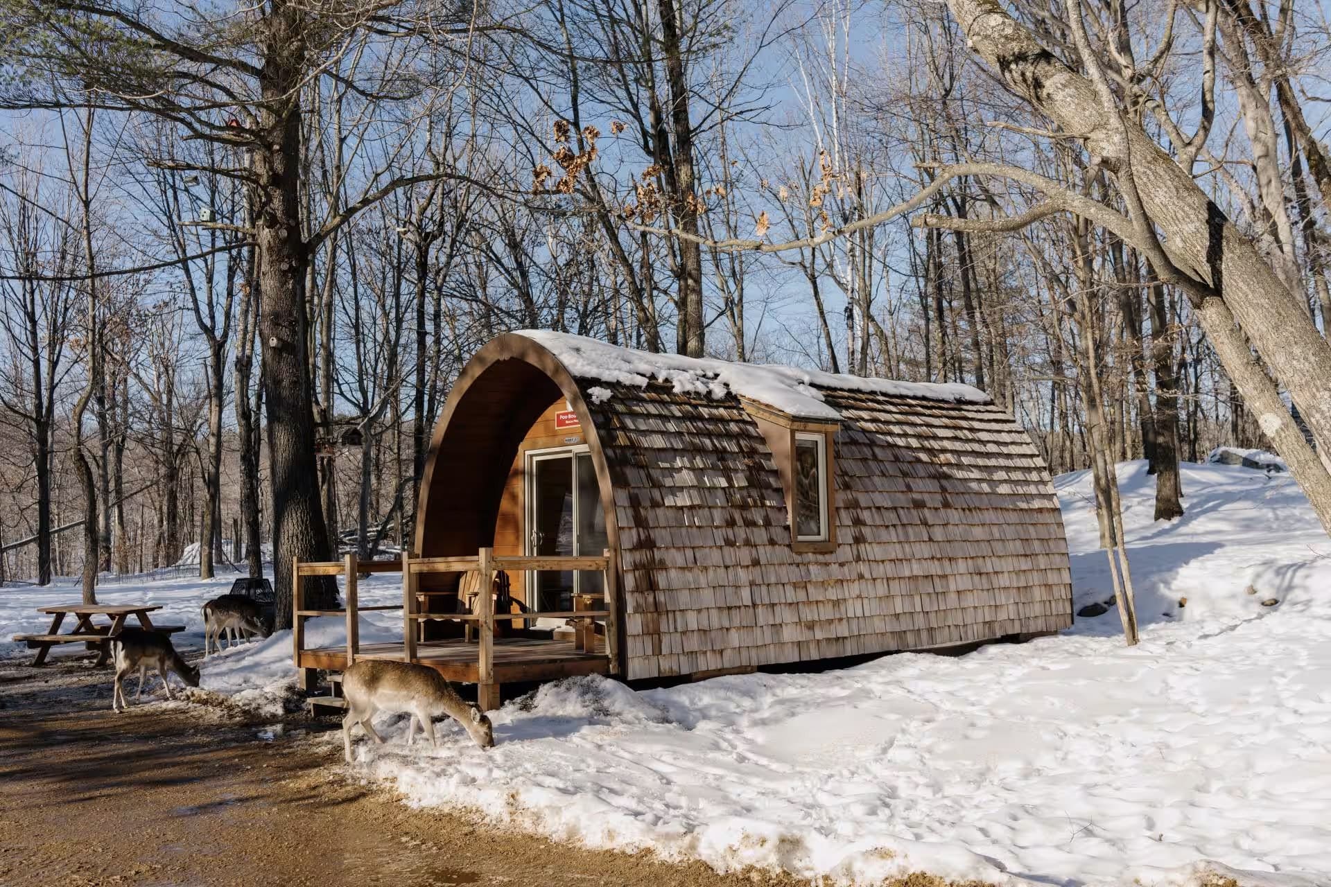 Pods - Photo Parc Oméga