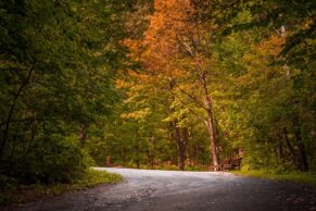 Les Amis de la montagne - Photo Lucia Arana