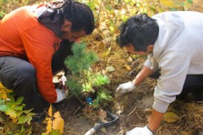 Photo Les Amis de la montagne