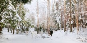 Parc Oméga - Photo Laure Poiret