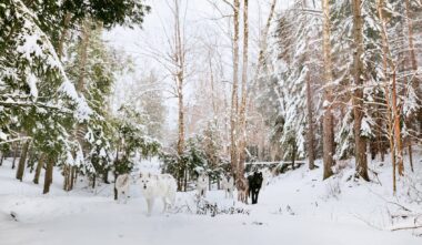 Parc Oméga - Photo Laure Poiret
