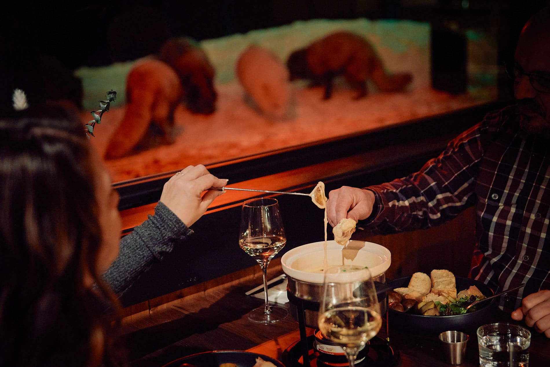 OmegaBon - Photo Parc Oméga