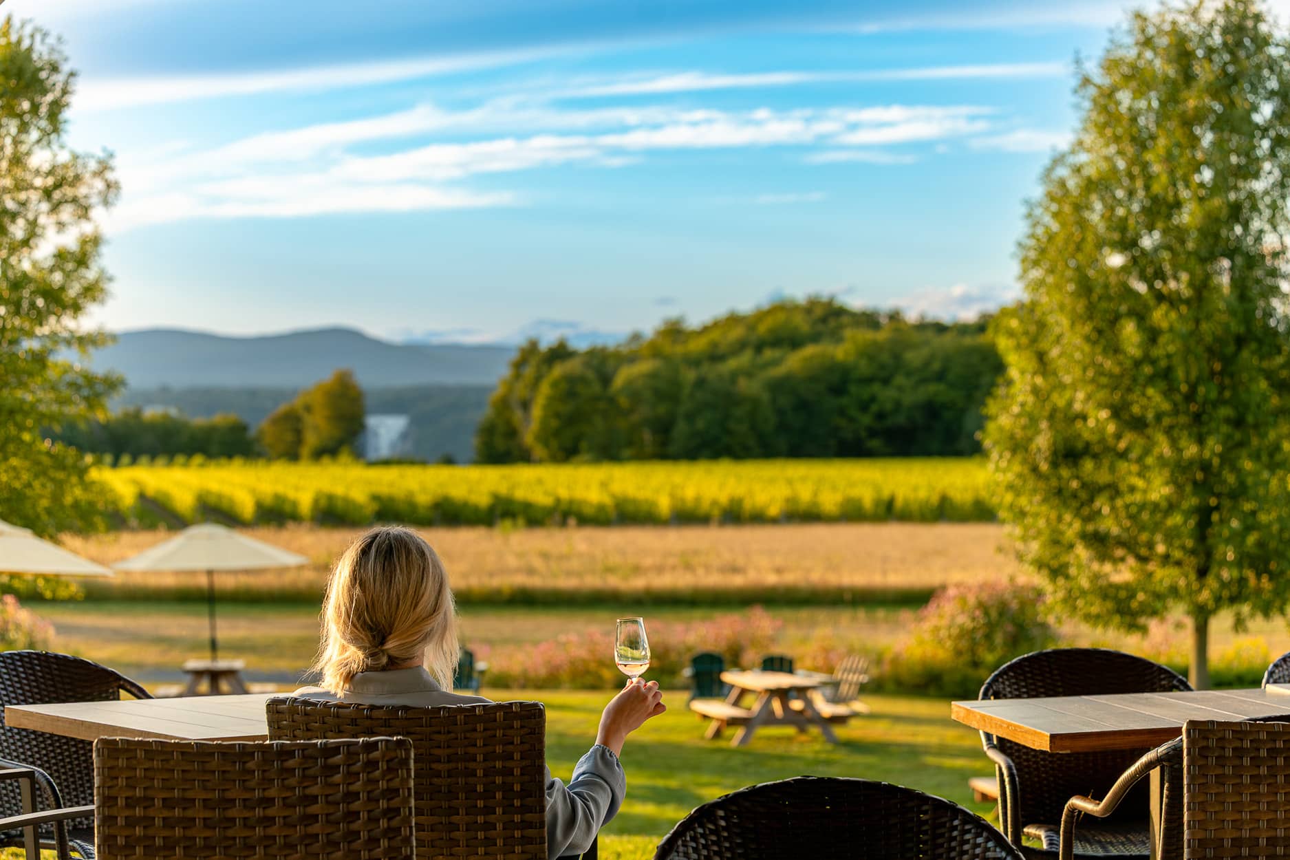 Saint-Pierre Le Vignoble