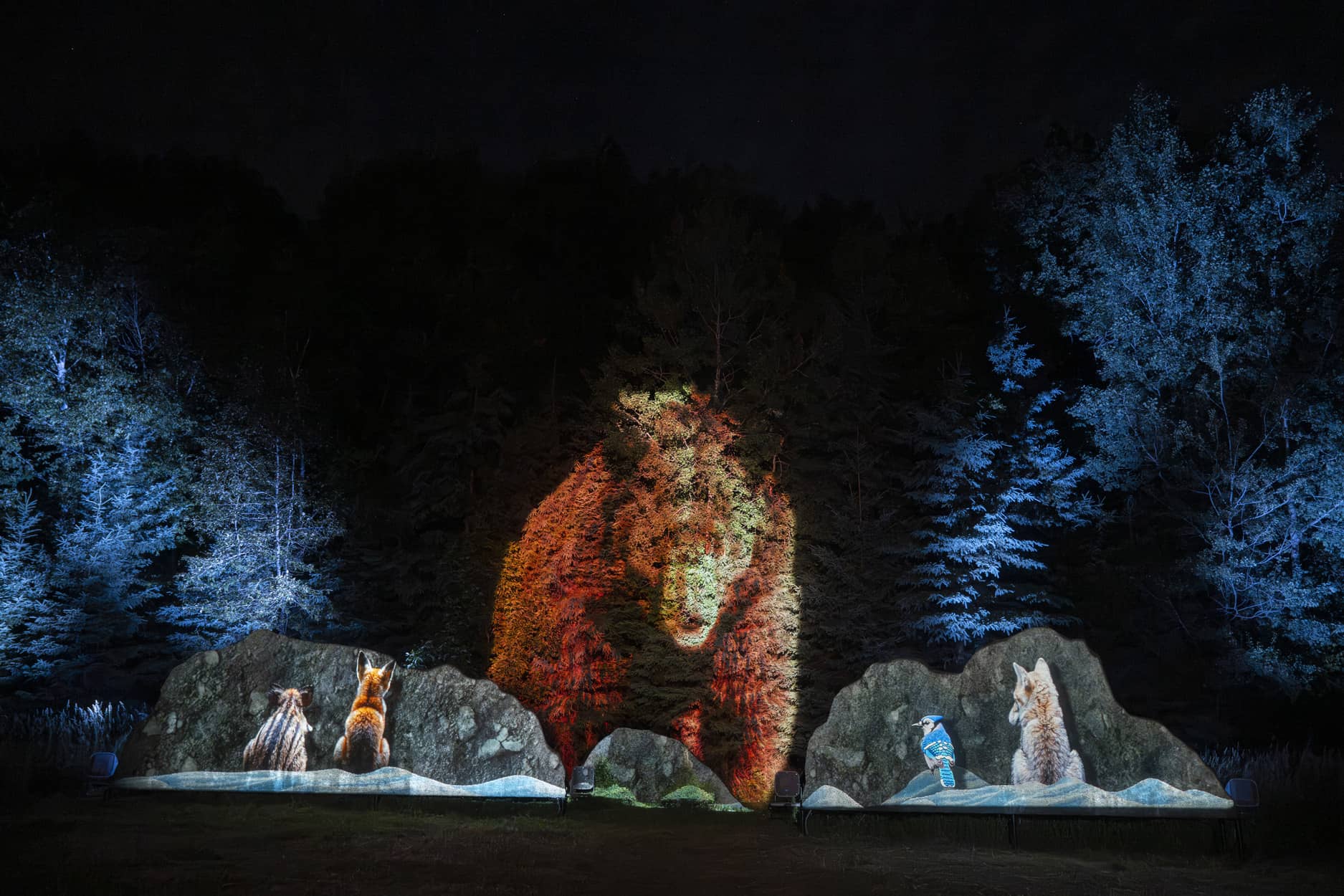 Oniro - Photo Parc Oméga