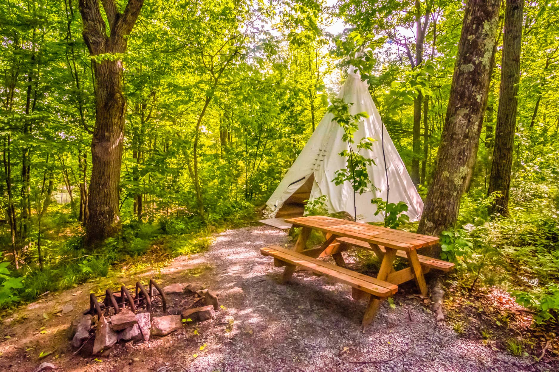 Tipi - Photo Parc Oméga