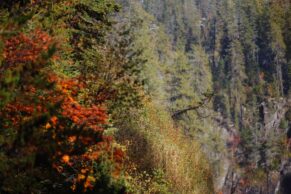 Parc Le Trou de la Fée