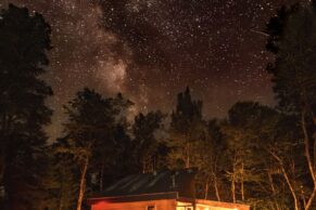 Canopée - Le Lièvre Rouge