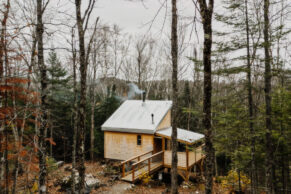 Canopée - Le Lièvre Rouge