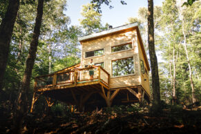 Canopée - Le Lièvre Rouge