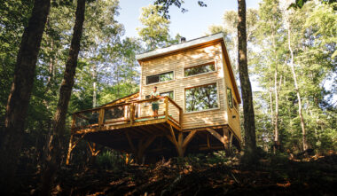 Canopée - Le Lièvre Rouge