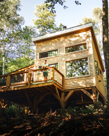 Canopée - Le Lièvre Rouge