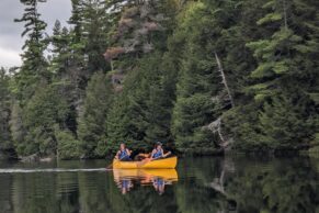 Lac Manseau - Le Lièvre Rouge