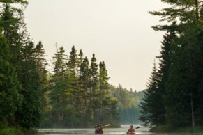 Lac Manseau - Le Lièvre Rouge