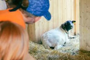 Labyrinthe Coureur des Bois