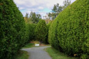 Labyrinthe Coureur des Bois