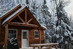 Tsuga - Le Lièvre Rouge