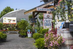 Labyrinthe Coureur des Bois