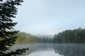 Lac Manseau - Le Lièvre Rouge