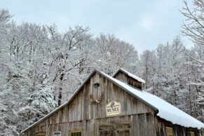 Erablière du lac Beauport