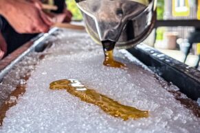 Erablière du lac Beauport