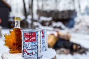 Erablière du lac Beauport