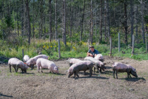 Les Viandes Bio de Charlevoix