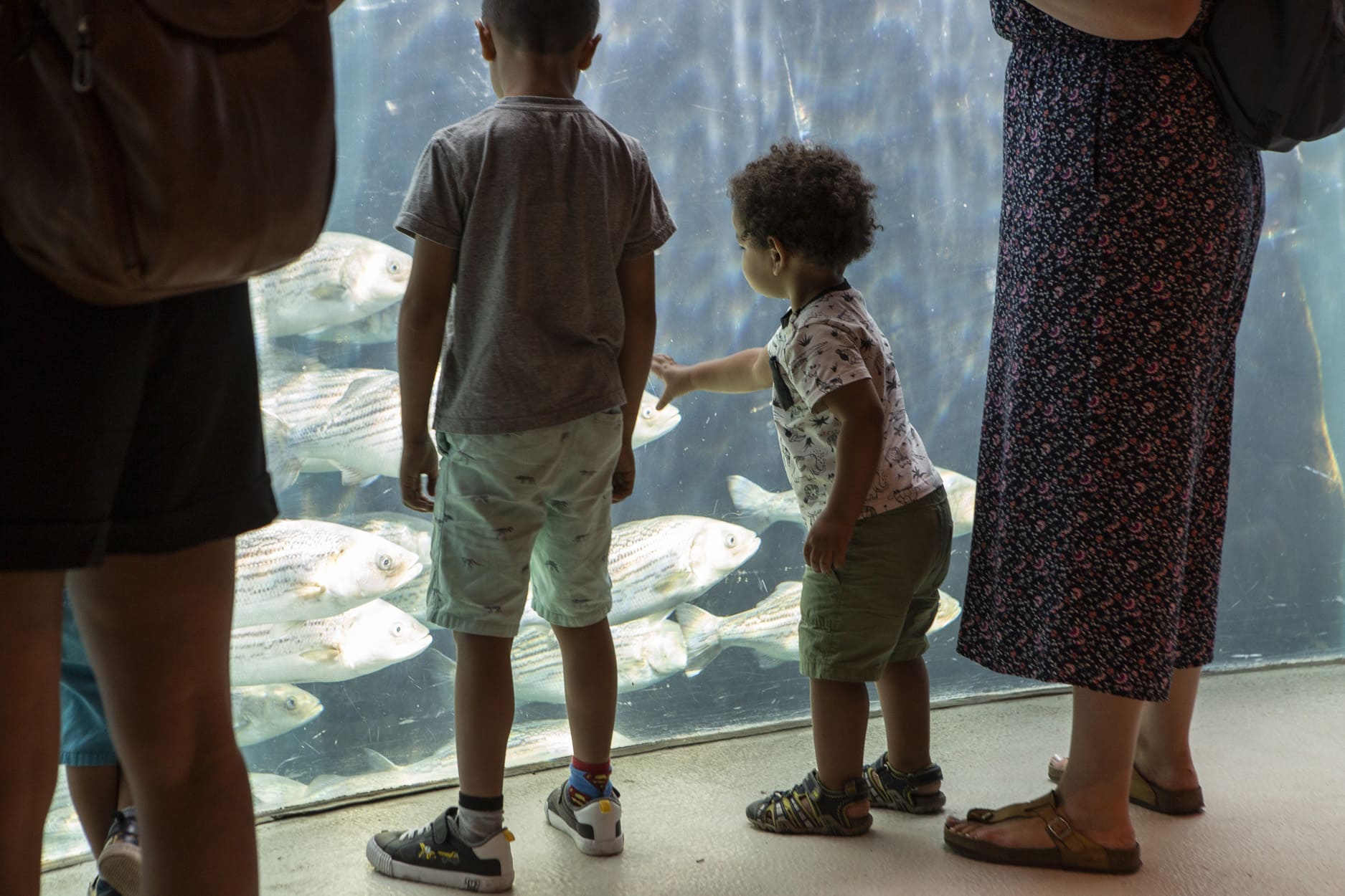 Biodome de Montréal - Photo Mathieu Rivard