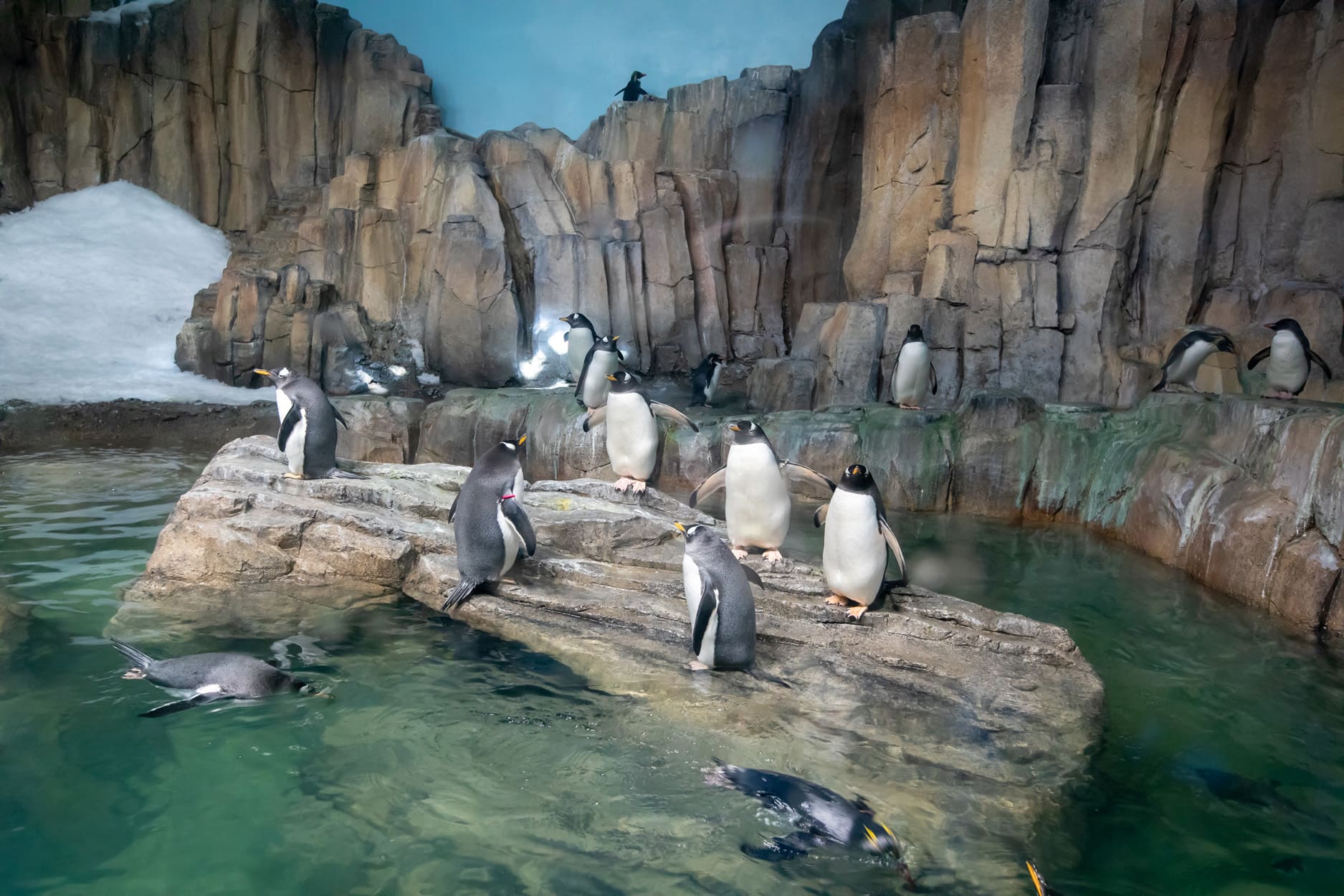 Biodome de Montréal - Photo Claude Lafond