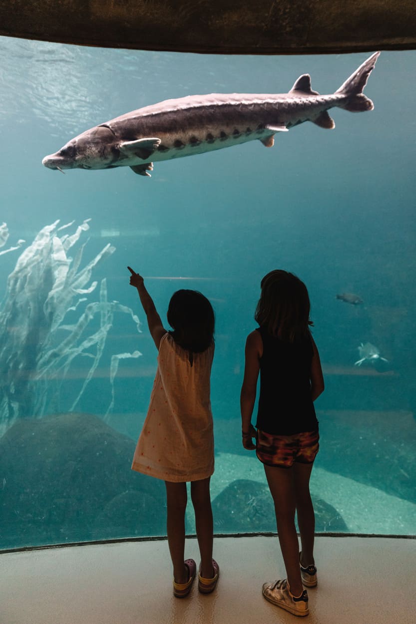 Biodome de Montréal - Photo Mélanie Dusseault