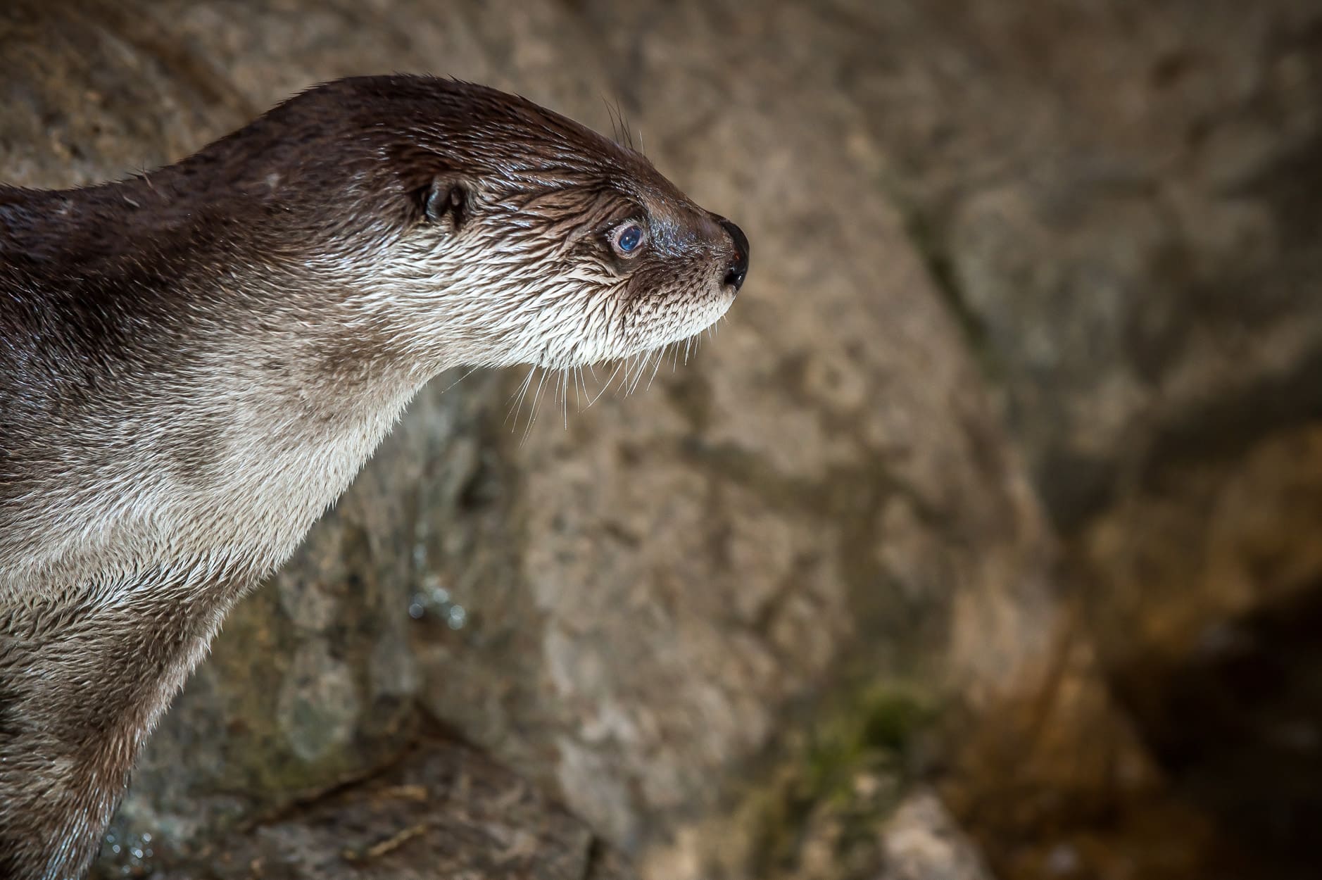 Biodome de Montréal - Photo Raymond Jalbert