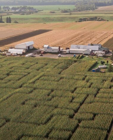 Labyrinthe Ferme Guy Rivest