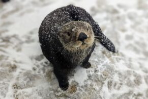 Aquarium du Québec