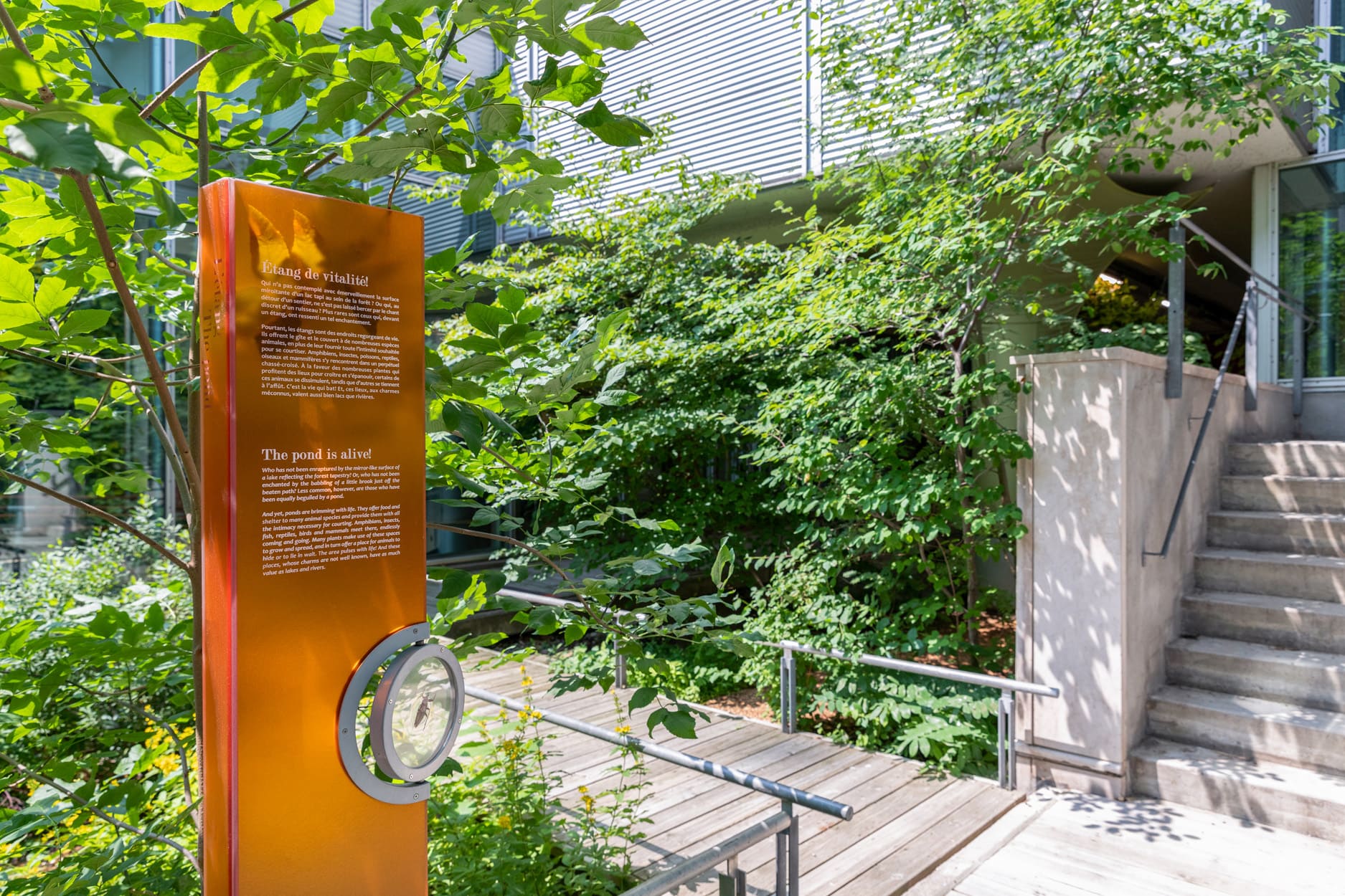 Biosphère de Montréal - Photo Espace pour la vie/Mélanie Dusseault