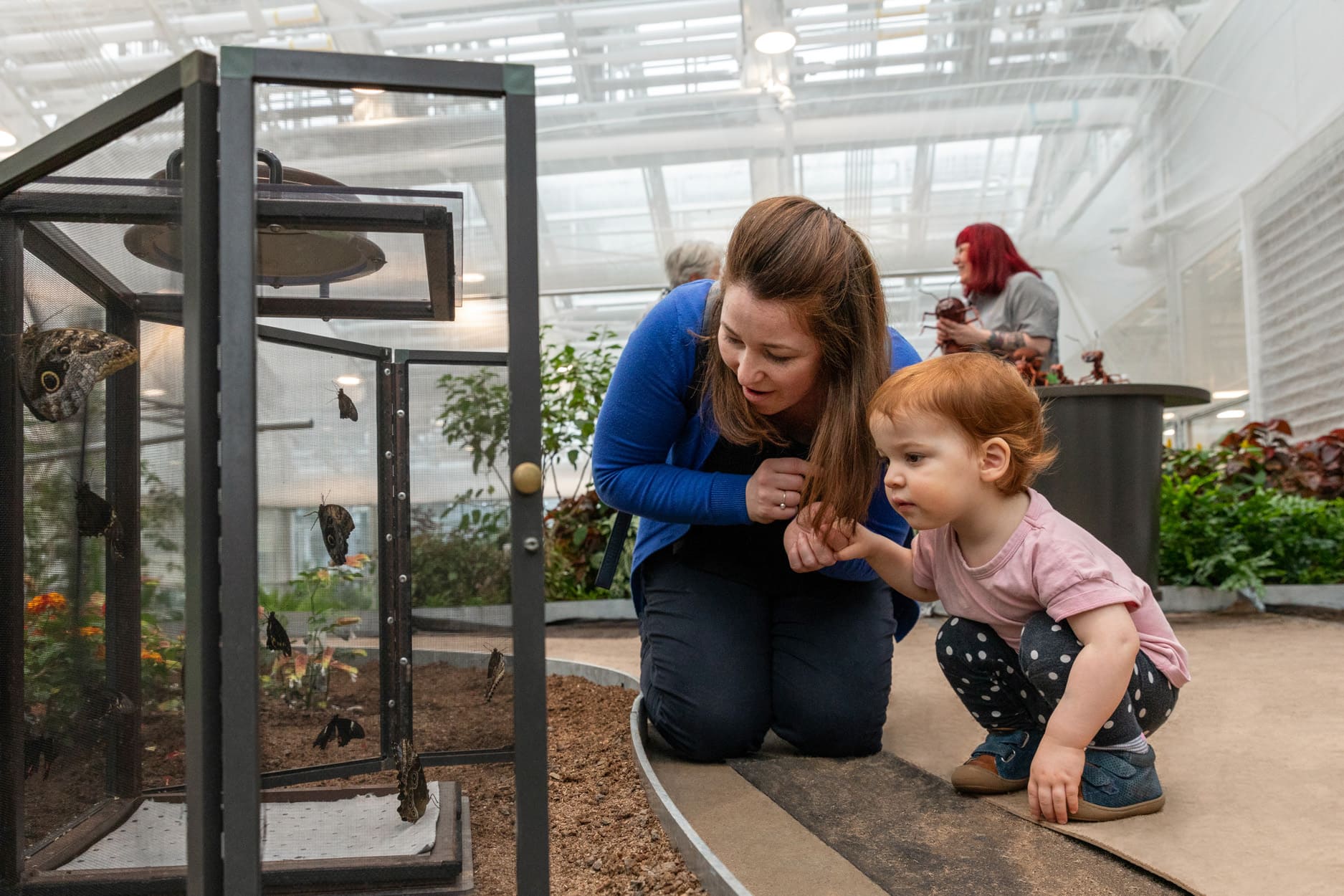 Insectarium - Photo Espace pour la vie / Mélanie Dusseault