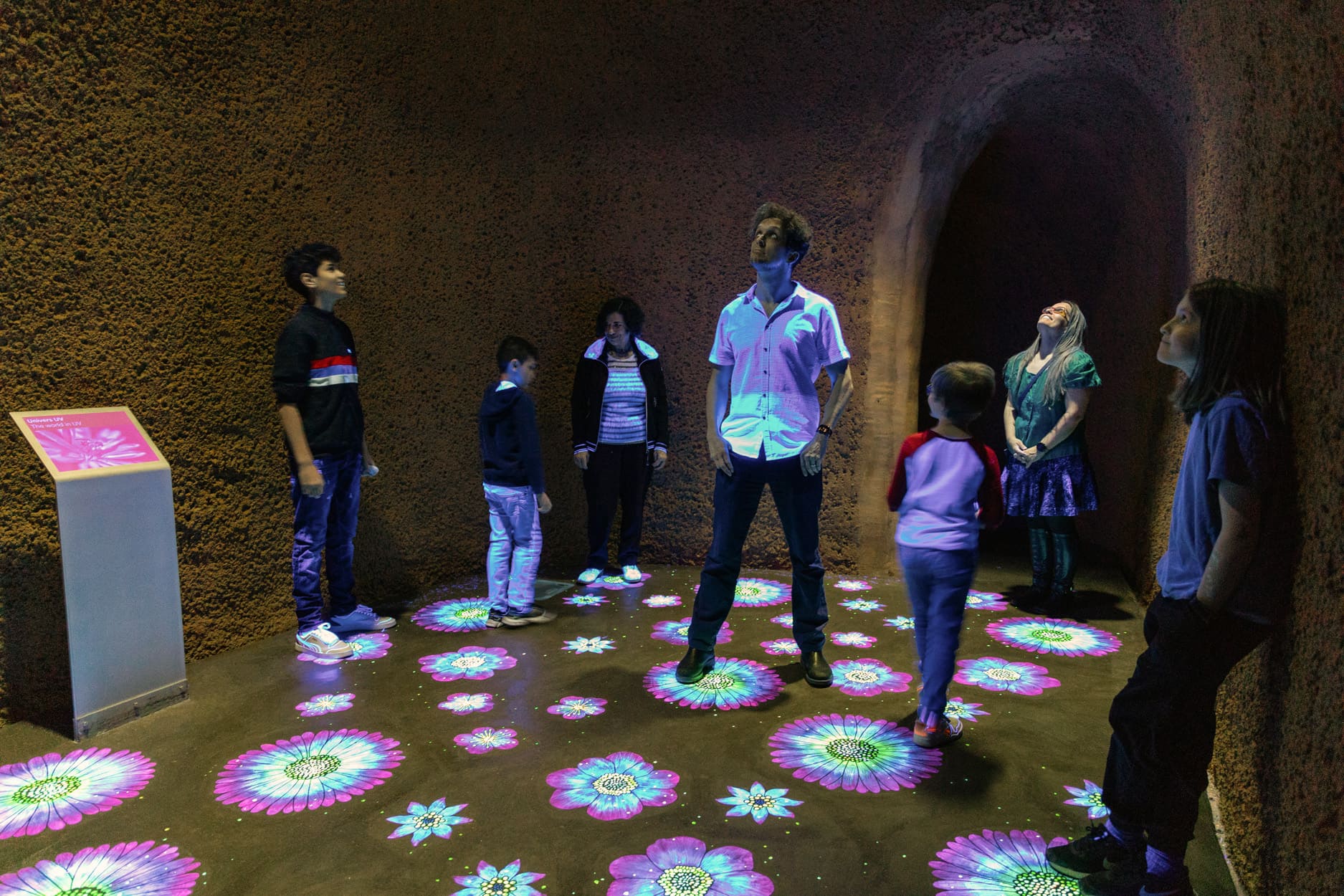 Insectarium - Photo Espace pour la vie / Mélanie Dusseault