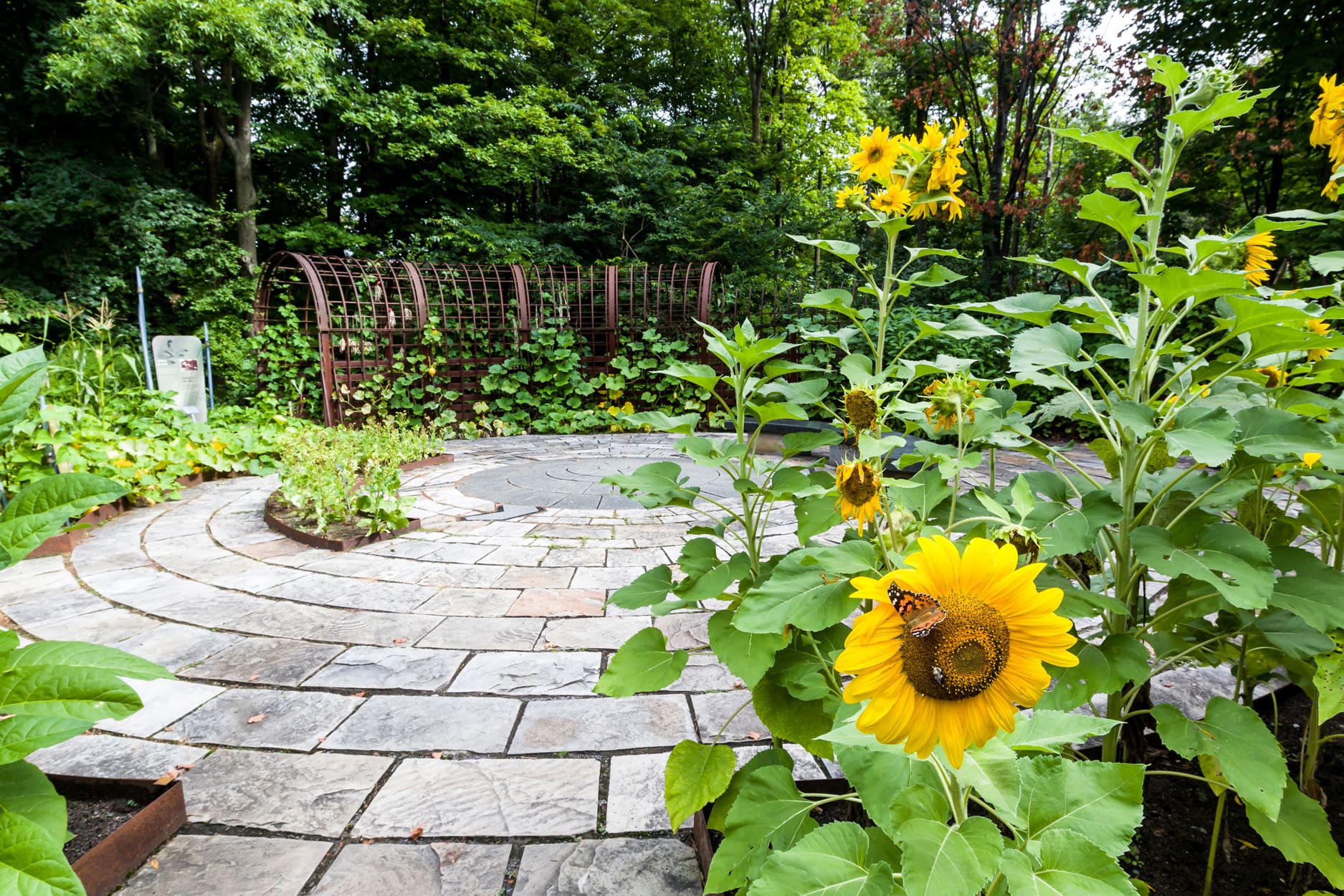 Jardin Botanique de Montréal - Photo Espace pour la vie/Claude Lafond